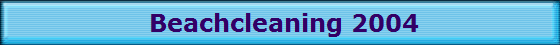 Beachcleaning 2004