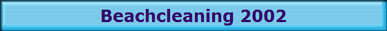 Beachcleaning 2002