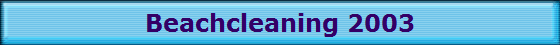 Beachcleaning 2003
