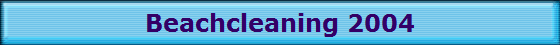 Beachcleaning 2004