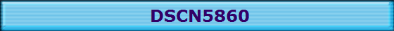 DSCN5860