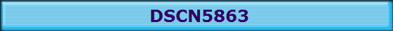 DSCN5863