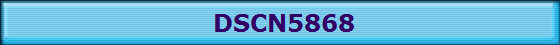 DSCN5868