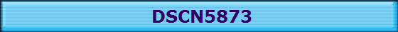 DSCN5873
