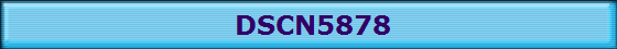 DSCN5878
