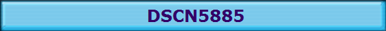 DSCN5885