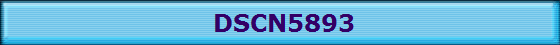DSCN5893