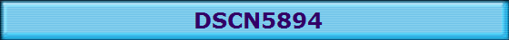 DSCN5894