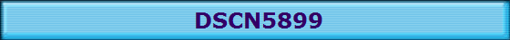 DSCN5899