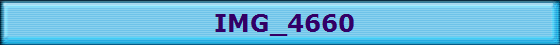IMG_4660