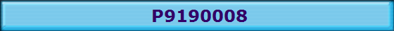 P9190008