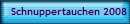 Schnuppertauchen 2008