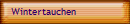 Wintertauchen