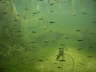 IMAG0038