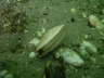 IMAG0068