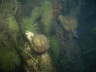 IMAG0101