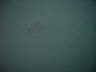 IMAG0108