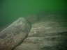 IMAG0111