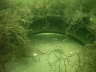 IMAG0137