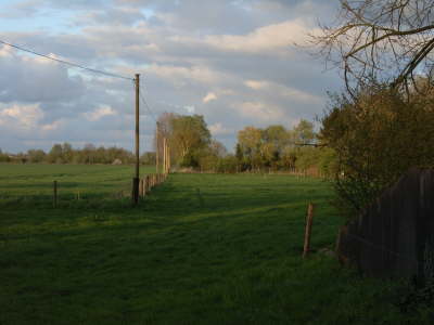 IMAG0172