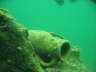 Antauchen 2005