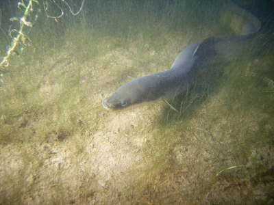 M0010974