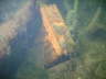 M0011029