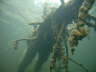 M0011040