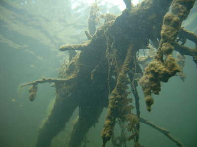 M0011040