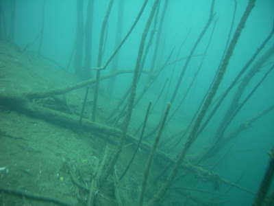 M0011114