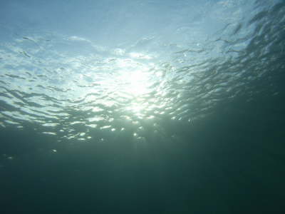 M0011177