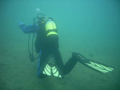 M0011178