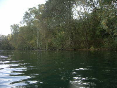 M0011183