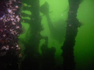 M0014310