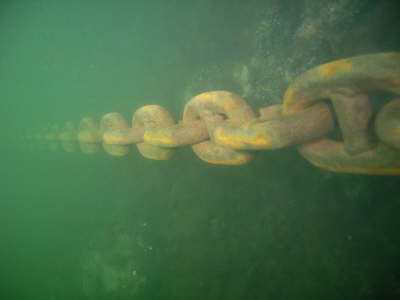 M0014350